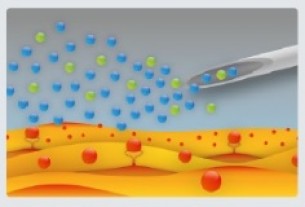 Sanakin terapijos poveikis 2 Sanakin terapijos poveikis 2