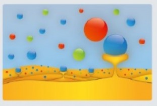 Sanakin terapijos poveikis 3 Sanakin terapijos poveikis 3